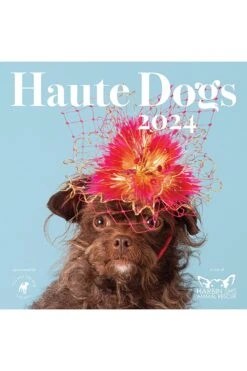 Haute Dogs Calendar 2024