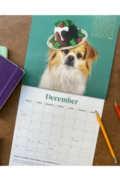 Haute Dogs Calendar 2024 -Lock & Co Hatters Sales HAUTE DOGS CALENDAR 2024 4