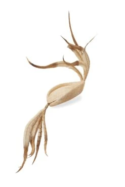 Lock & Co Hatters Sales -Lock & Co Hatters Sales LAPSANG NATURAL 2